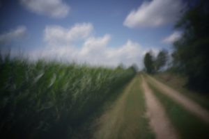 alt tag Fausto Lubatti