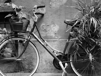 alt tag Alessia Cottarelli