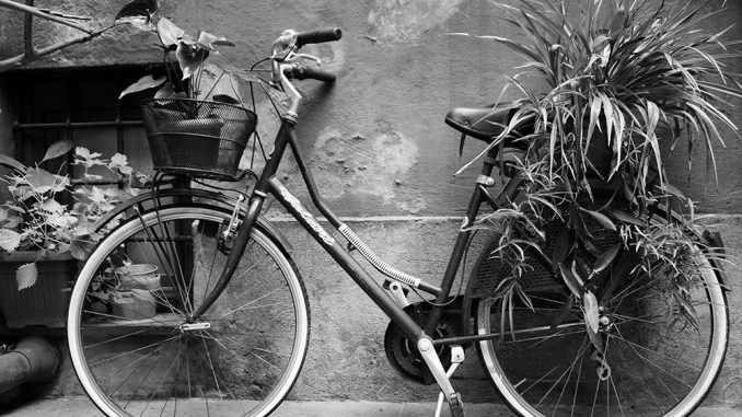 alt tag Alessia Cottarelli