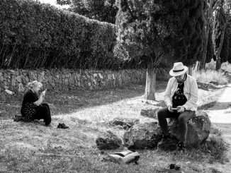 alt tag Stefano Blasi