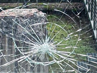 alt tag Giuliano Bertazzoni