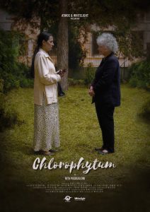 Alt Tag Chlorophytum