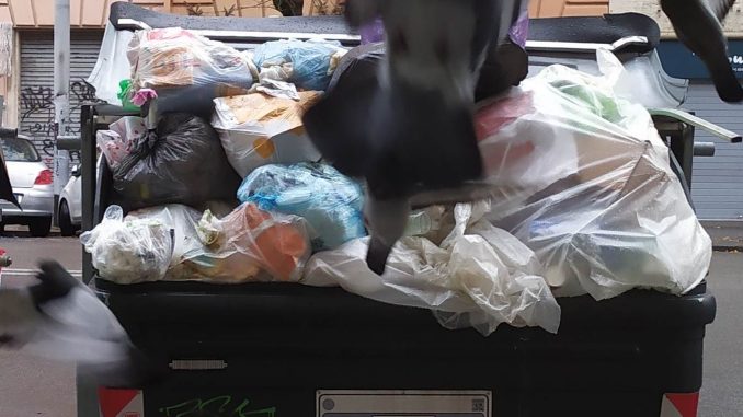 alt tag Riccardo D'Amico