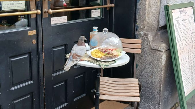 alt tag Paco Reconti