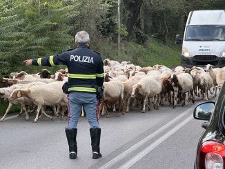 alt tag Klára Várhelyi