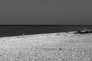 alt tag solitudine