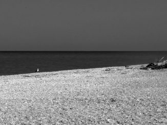 alt tag solitudine