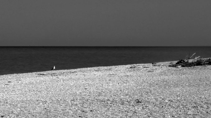 alt tag solitudine