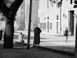 alt tag la foto del giorno
